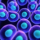 stem-cell-11-1024x7681